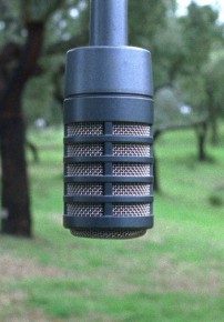 minedsoil_still2-202x290-5014326